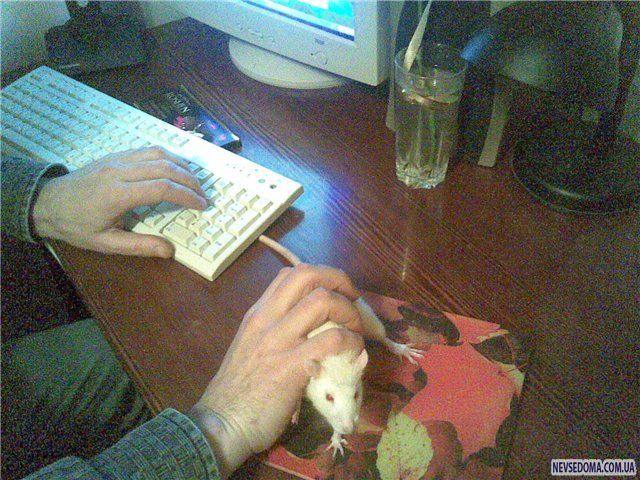 Прикольные картинки (129 фото)