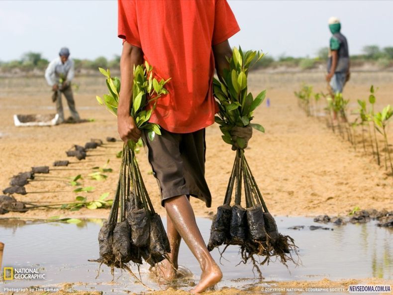 Прикольные картинки (132 фото)