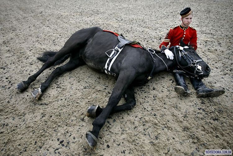 Прикольные картинки (132 фото)