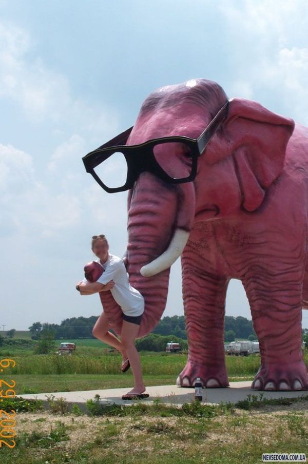 Прикольные картинки (132 фото)