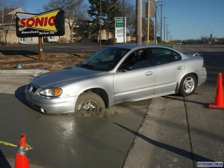 Прикольные картинки (132 фото)