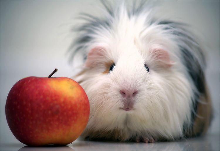 Прикольные картинки (118 фото)