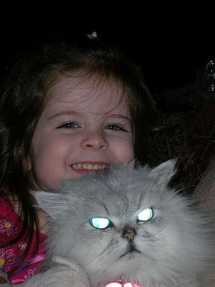 Прикольные картинки (118 фото)