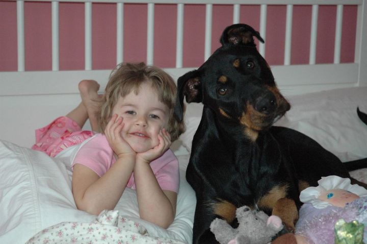 Прикольные картинки (118 фото)