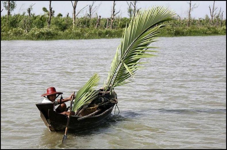 Прикольные картинки (118 фото)