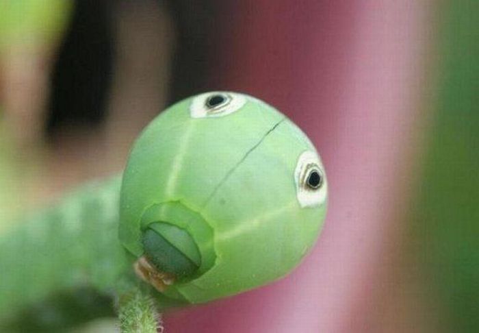 Прикольные картинки (118 фото)