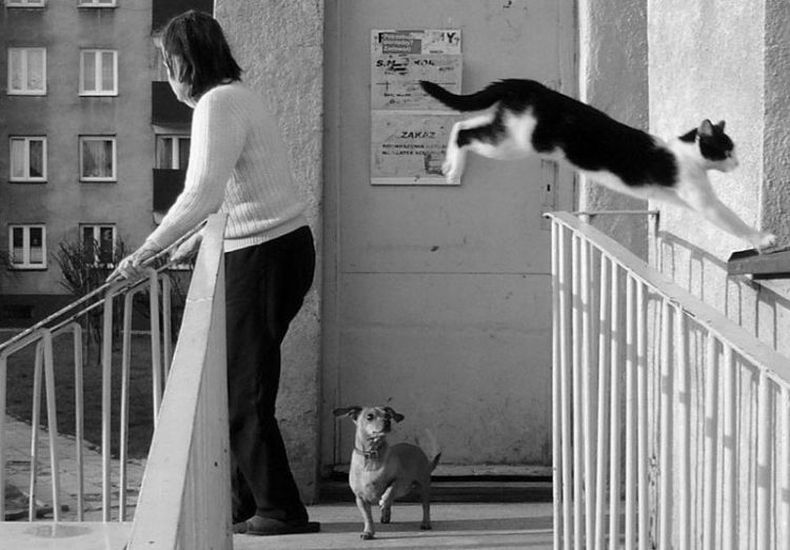 Прикольные картинки (118 фото)