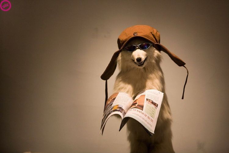 Прикольные картинки (118 фото)