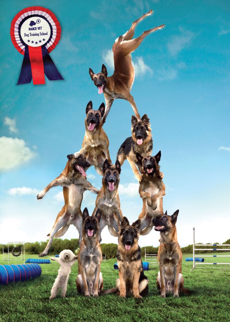 Прикольные картинки (118 фото)