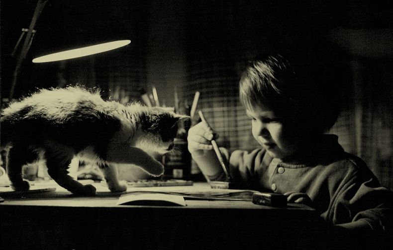 Прикольные картинки