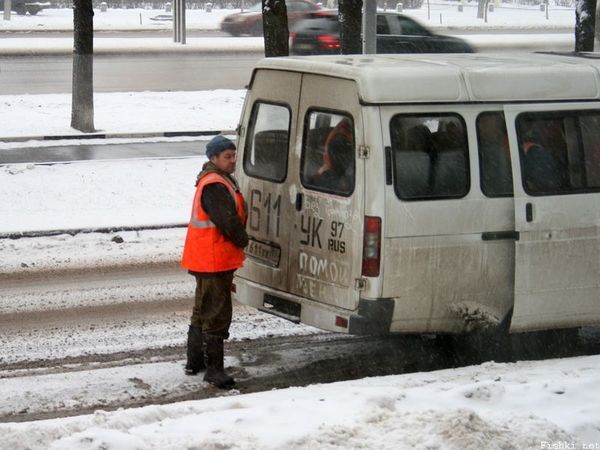 Прикольные картинки