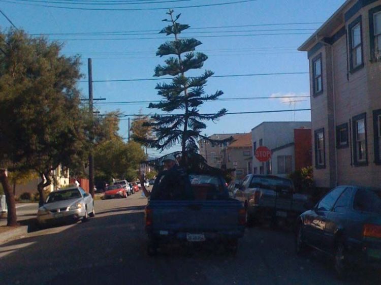 Прикольные картинки