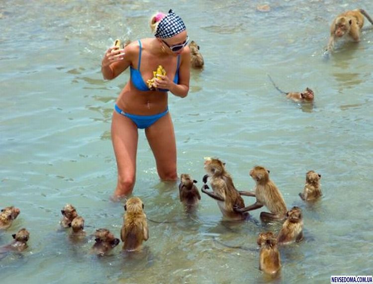 Прикольные картинки