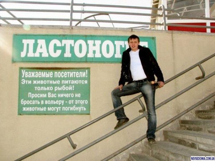 Прикольные картинки