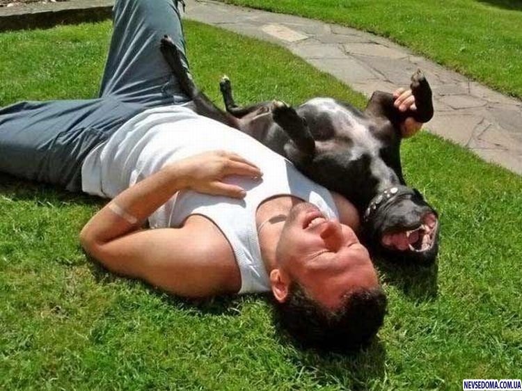 Прикольные картинки