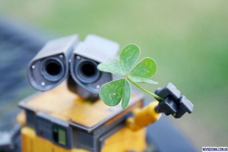 Прикольные картинки