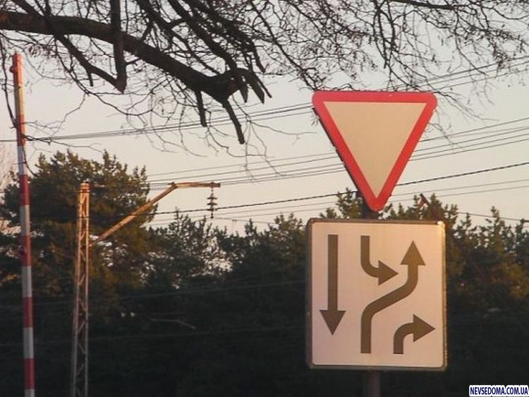 Прикольные картинки