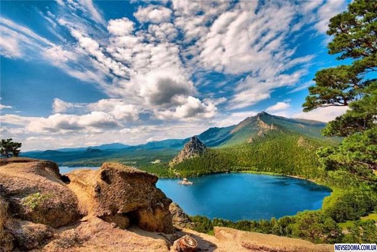 Прикольные картинки