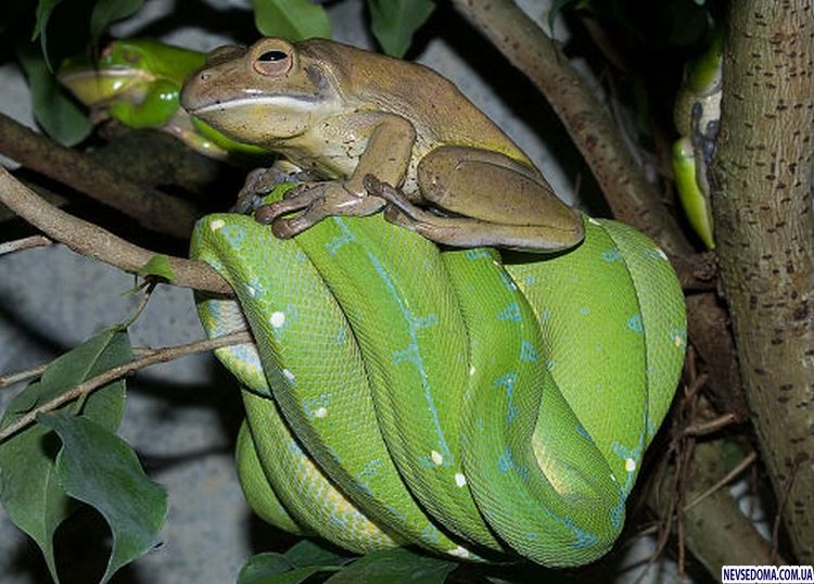 Прикольные картинки