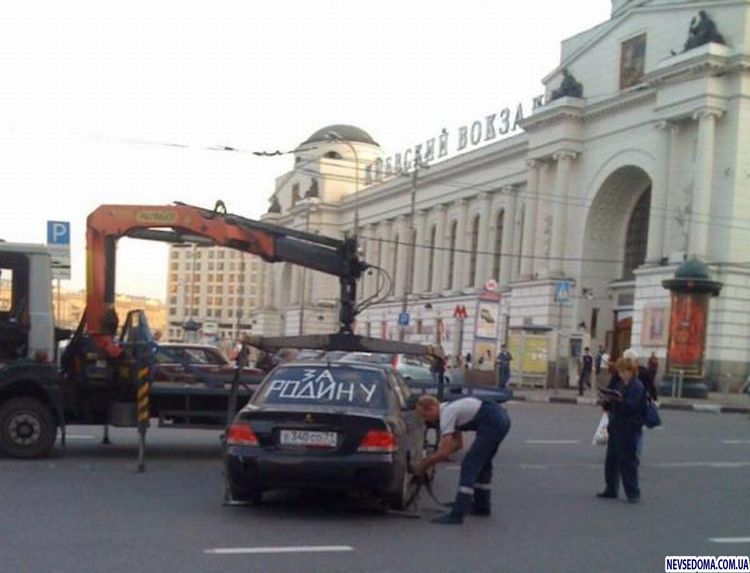 Прикольные картинки