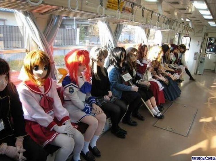 Прикольные картинки