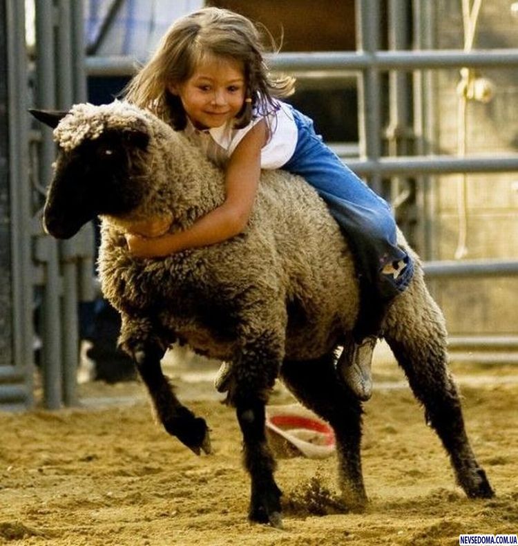 Прикольные картинки