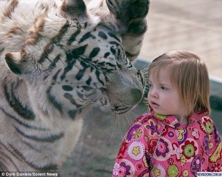 Прикольные картинки