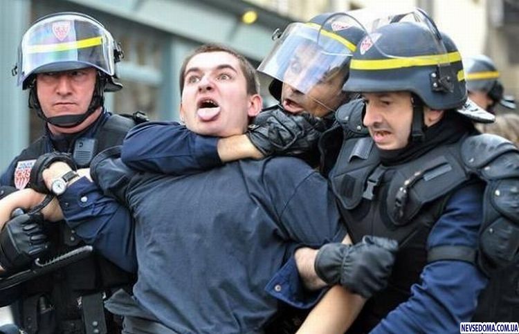 Прикольные картинки