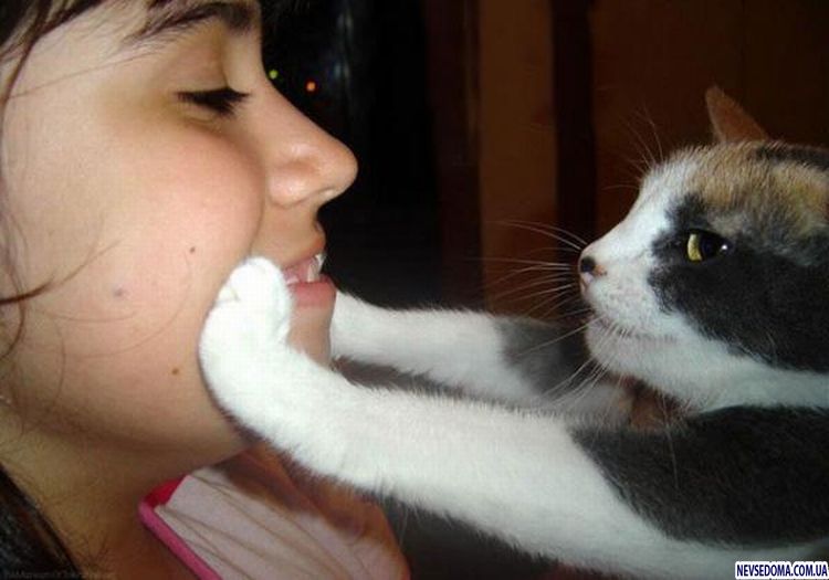 Прикольные картинки