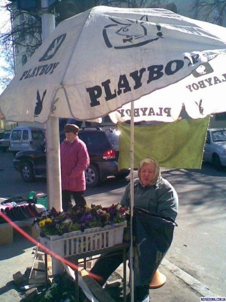 Прикольные картинки