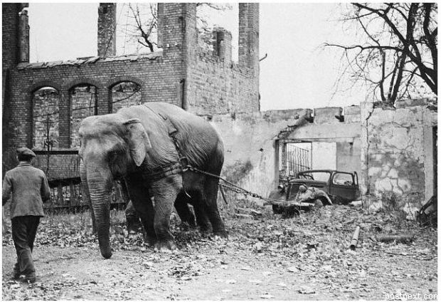 Прикольные картинки (130 фото)