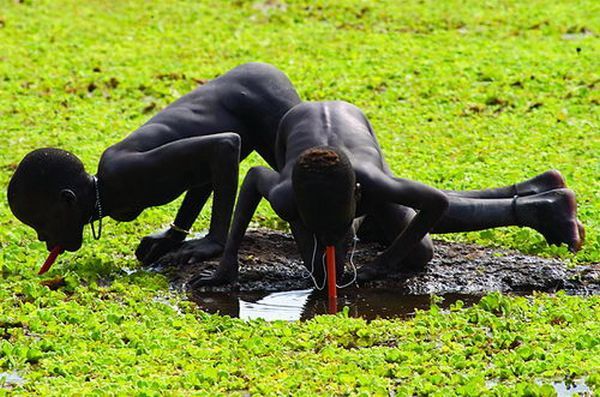 Прикольные картинки (130 фото)