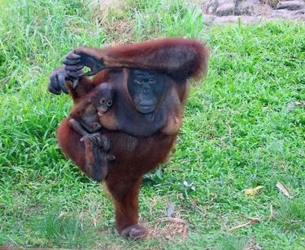 Прикольные картинки (130 фото)