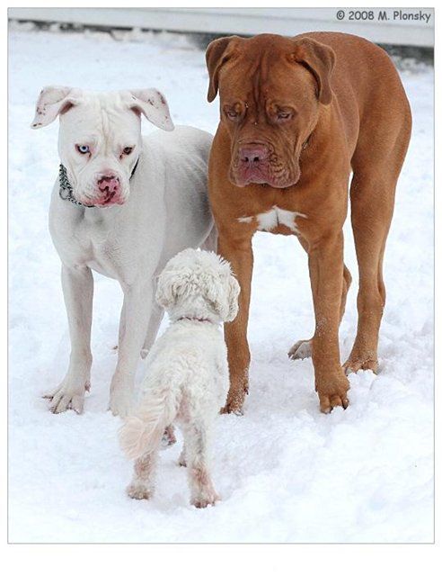 Прикольные картинки (130 фото)