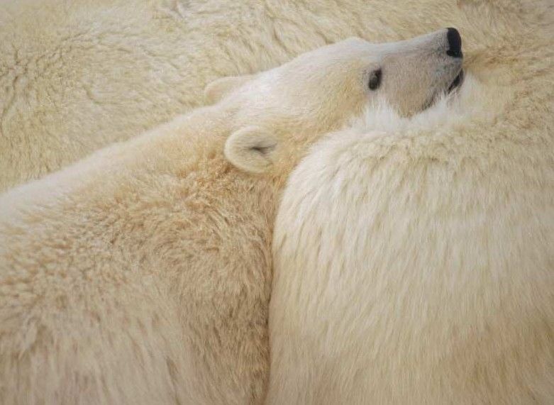 Прикольные картинки (120 фото)