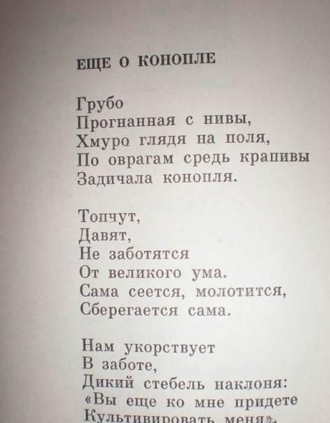 Прикольные картинки (120 фото)