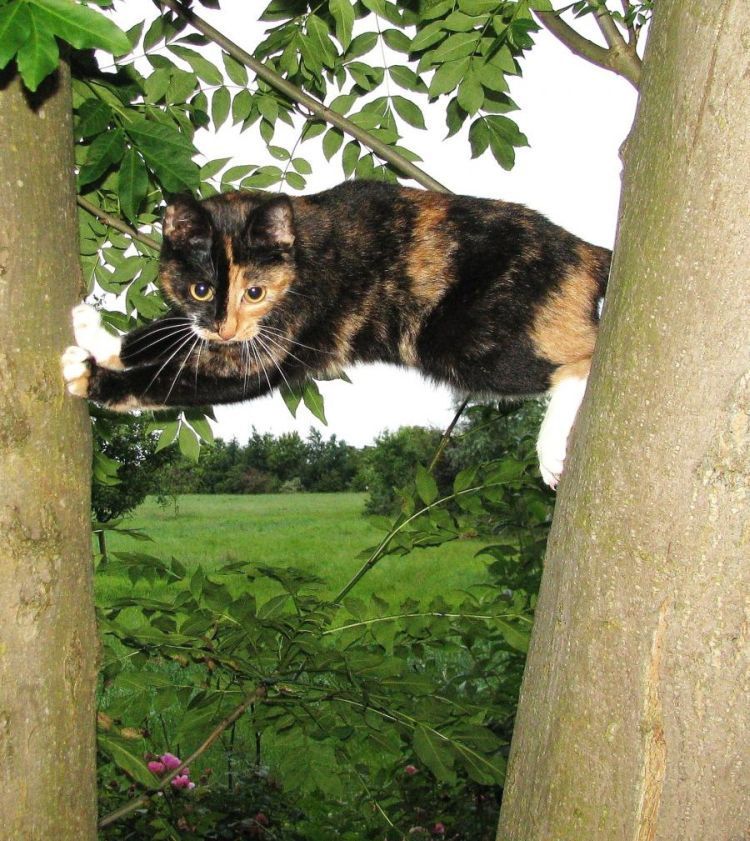 Прикольные картинки (120 фото)