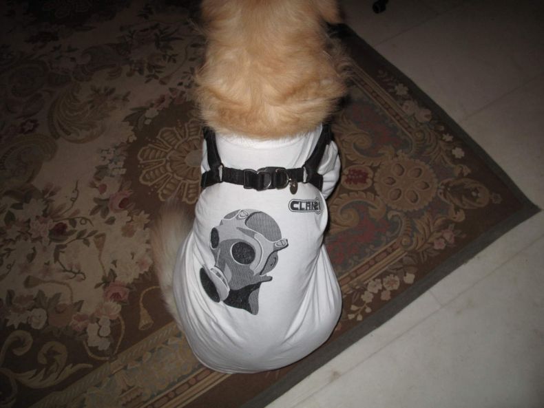 Прикольные картинки (131 фото)