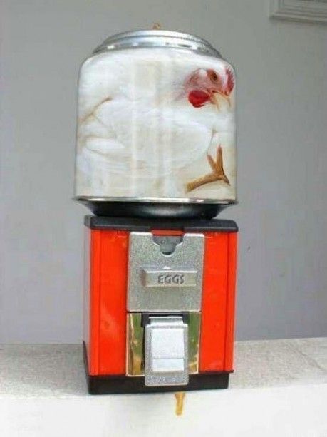 Прикольные картинки (131 фото)