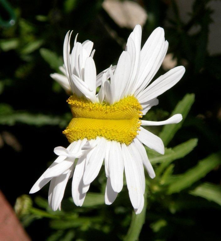 Прикольные картинки (131 фото)