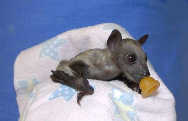 Прикольные картинки (131 фото)