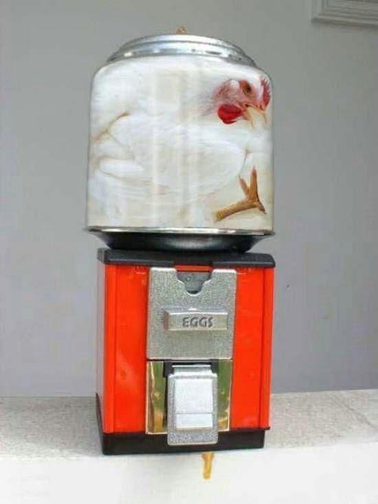 Прикольные картинки (131 фото)