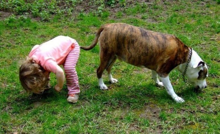 Прикольные картинки (131 фото)