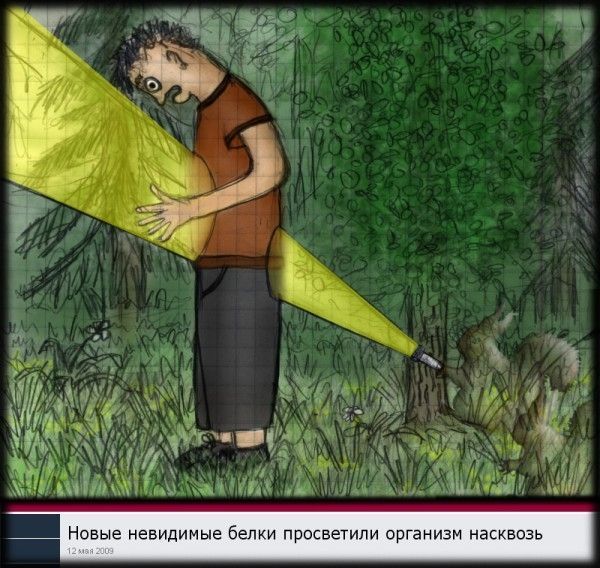 Прикольные картинки (101 фото)