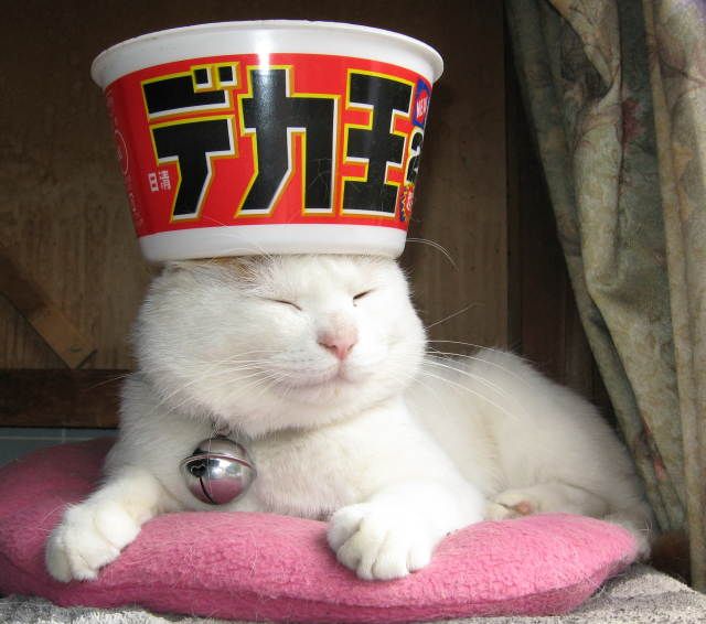 Прикольные картинки (101 фото)