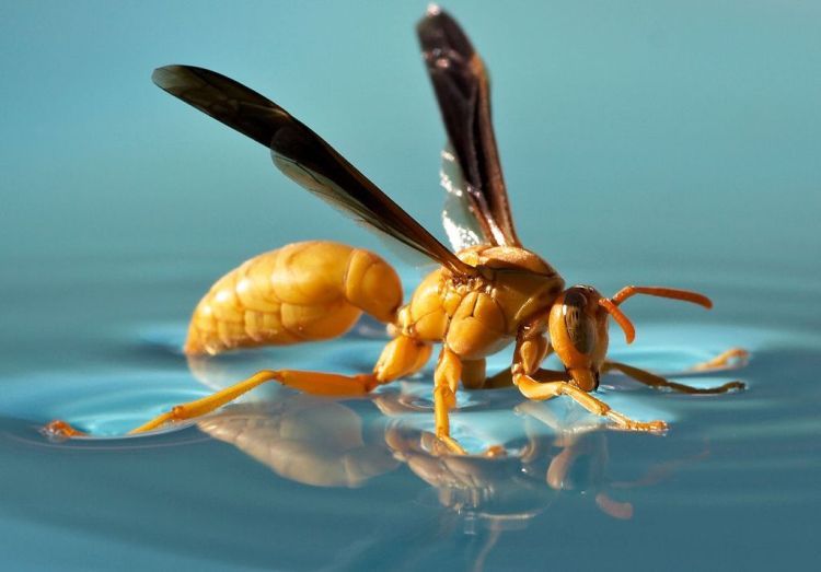 Прикольные картинки (101 фото)