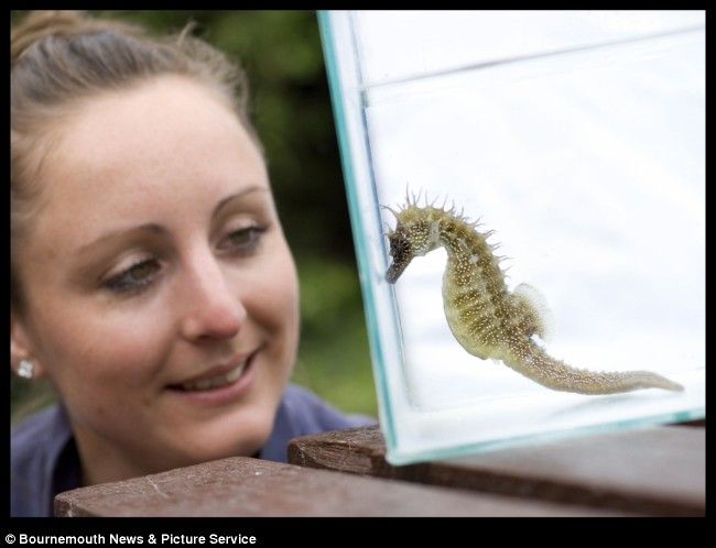 Прикольные картинки (101 фото)