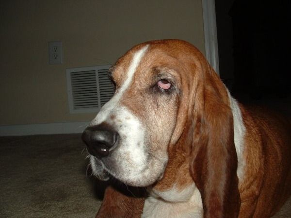 Прикольные картинки (101 фото)