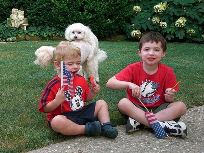 Прикольные картинки (101 фото)