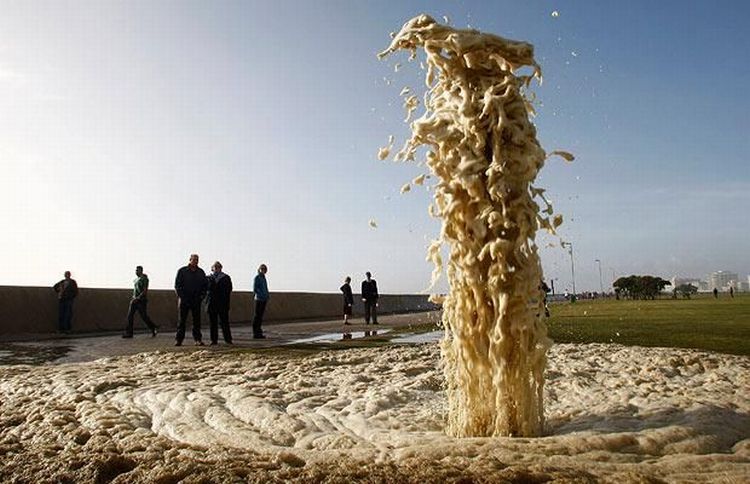 Прикольные картинки (101 фото)